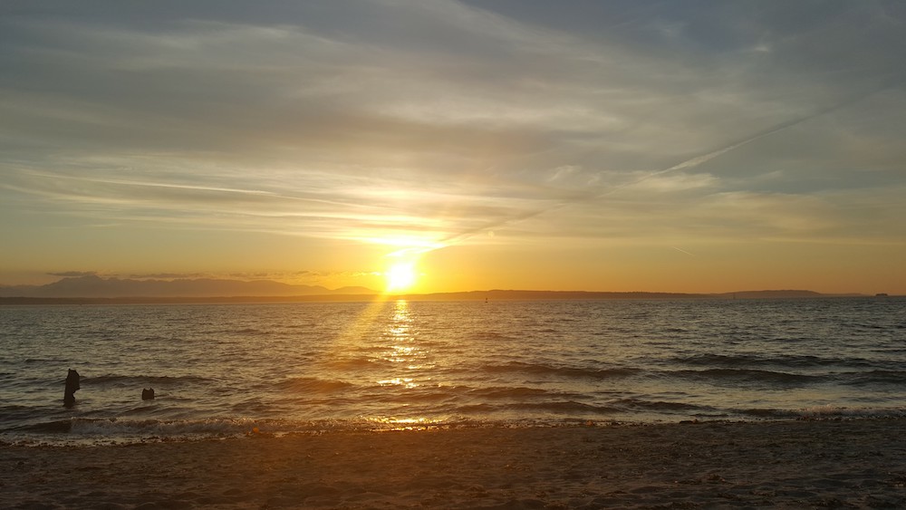 Golden Gardens beach