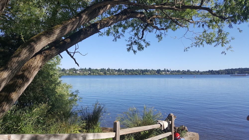 Green Lake in the summer