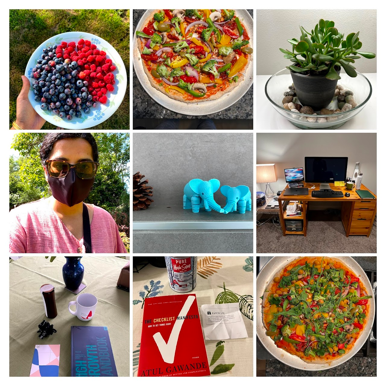 Surviving (or thriving?) in pandemic part deux: making homemade vegan pizza; sorta-successfully raising houseplants (I sadly killed the pretty jade plant, but the baby banana plant is going strong!); reading; coding/writing in my woman cave; “helping” my brother 3D print elephants.